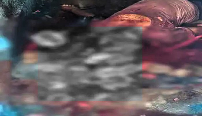 बिलासपुर सिरगिट्टी मन्नाडोल हत्याकांड स्थल की तस्वीर - दुनिया दस्तक