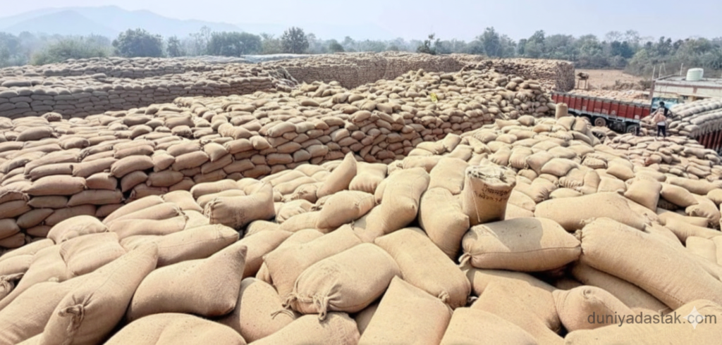 गरियाबंद के धान खरीदी केंद्र में बोरियों का अंबार और धीमी गति से हो रहे उठाव को दर्शाती तस्वीर (Credit: duniyadastak.com)