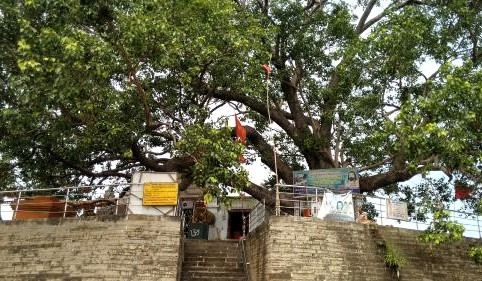 राजिम कुलेश्वर महादेव मंदिर त्रिवेणी संगम छत्तीसगढ़